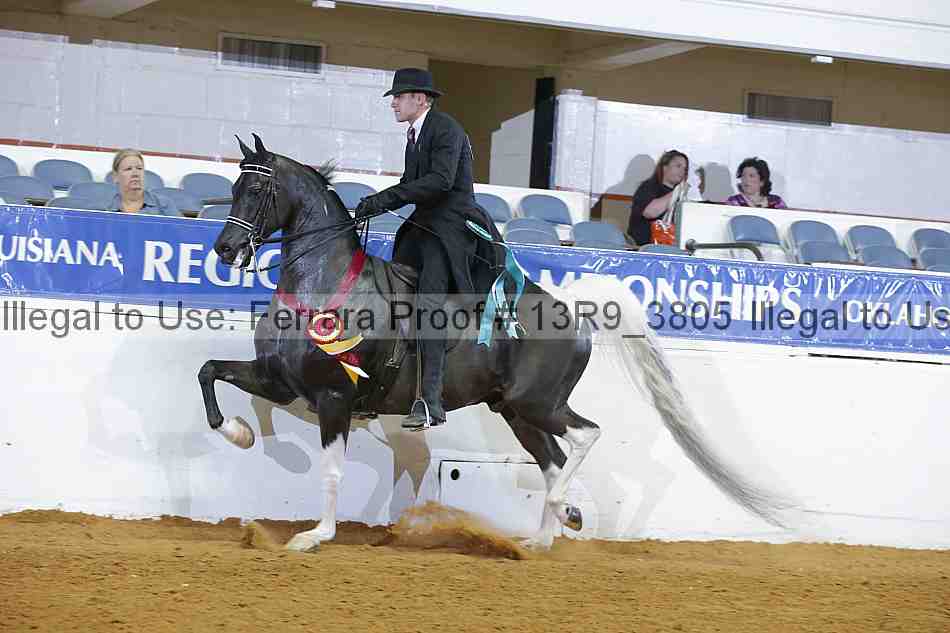 Proof Number 13r9_3805