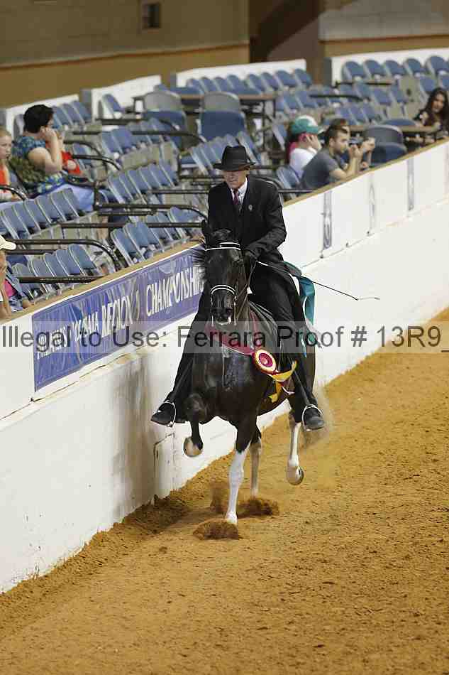 Proof Number 13r9_3806