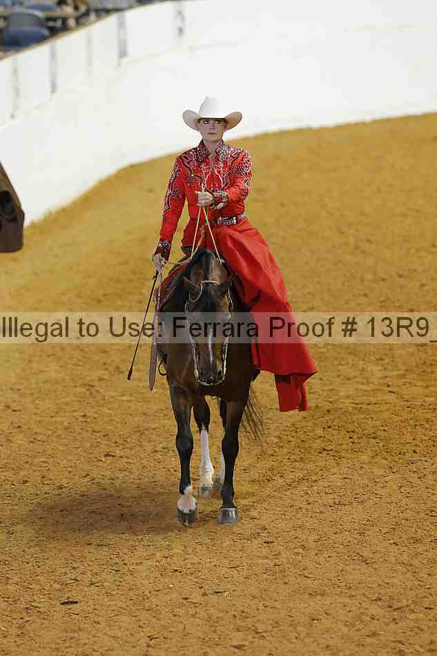 Proof Number 13r9_3835