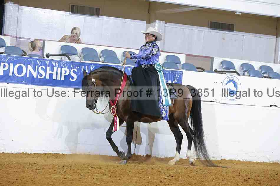 Proof Number 13r9_3851