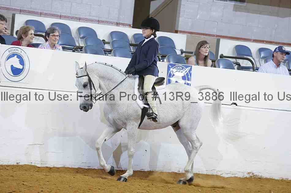 Proof Number 13r9_3886