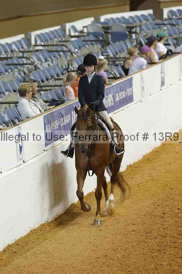 Proof Number 13r9_3887