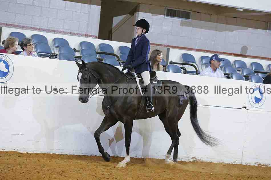 Proof Number 13r9_3888