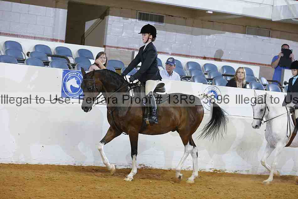 Proof Number 13r9_3896