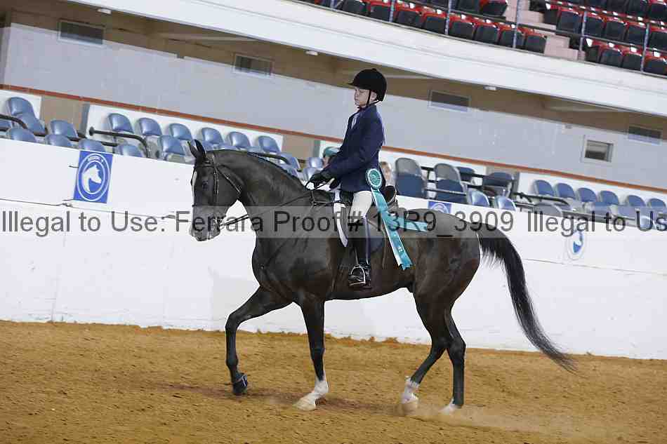 Proof Number 13r9_3909