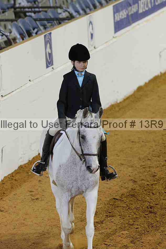 Proof Number 13r9_3916