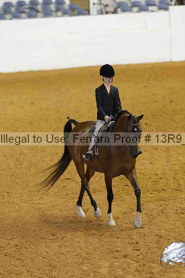 Proof Number 13r9_3918