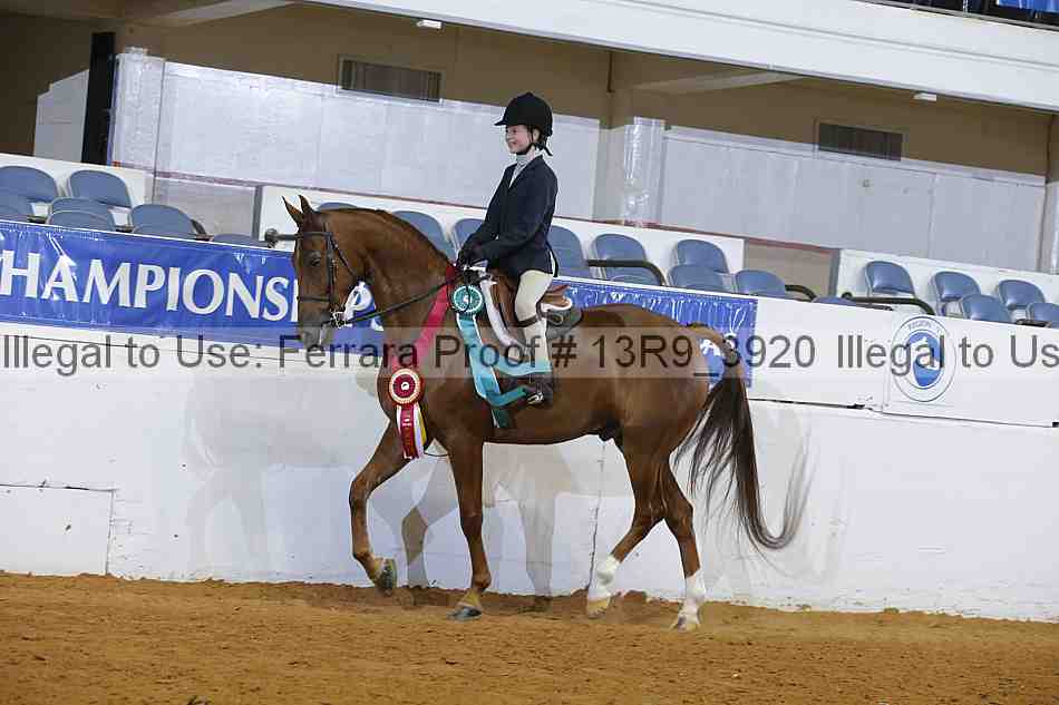 Proof Number 13r9_3920
