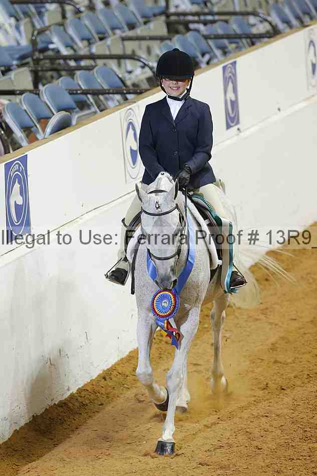 Proof Number 13r9_3927