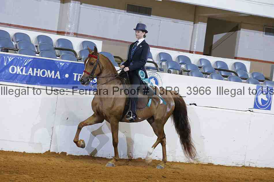 Proof Number 13r9_3966