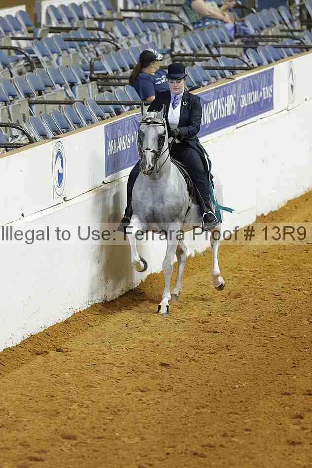 Proof Number 13r9_3968