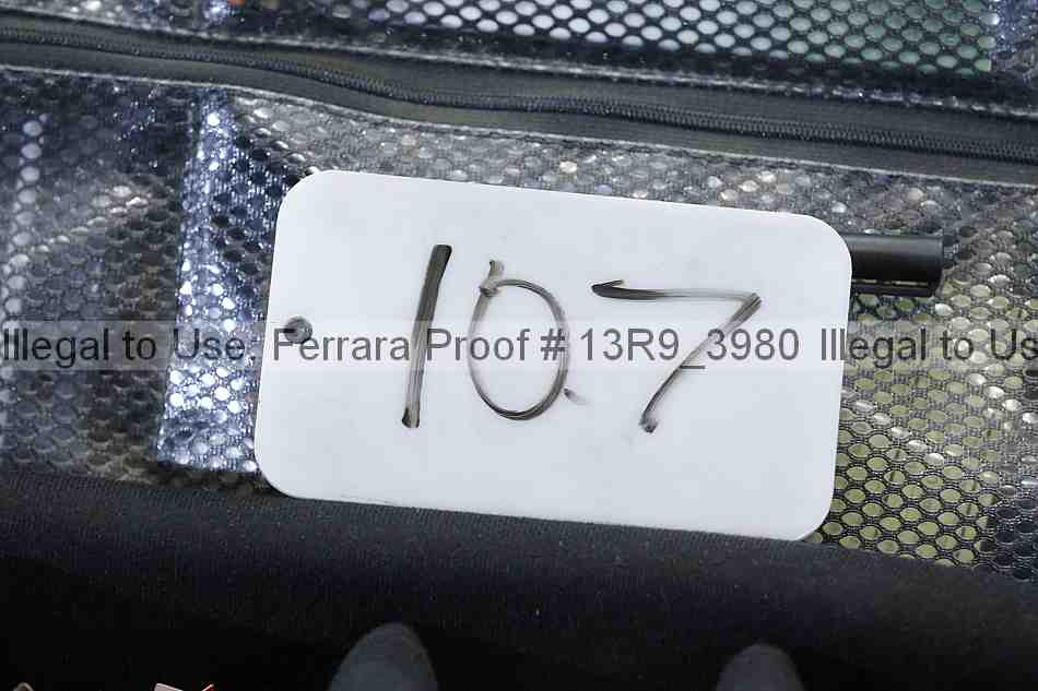 Proof Number 13r9_3980