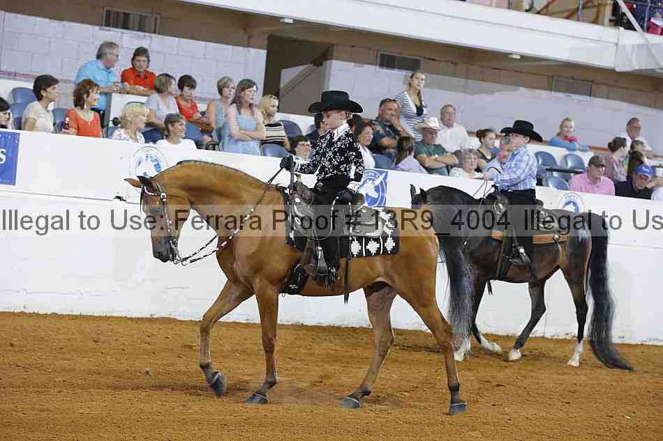 Proof Number 13r9_4004