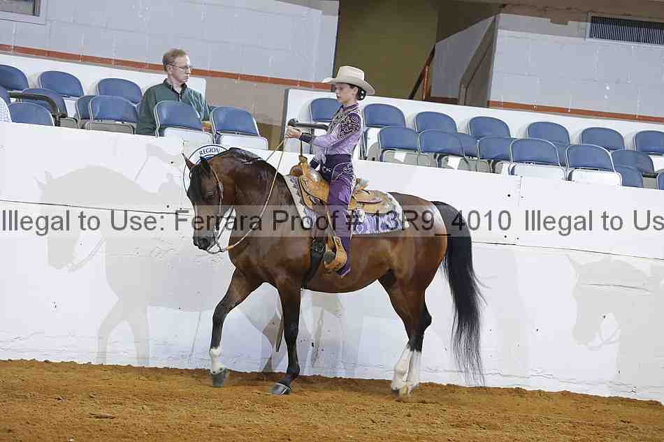 Proof Number 13r9_4010