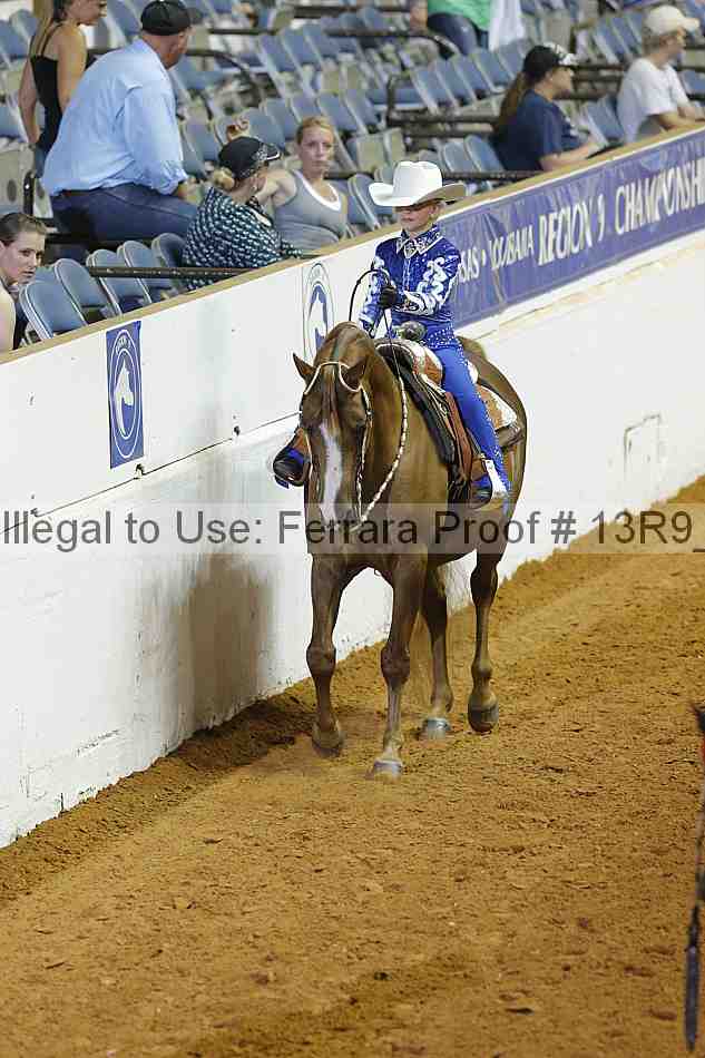 Proof Number 13r9_4015