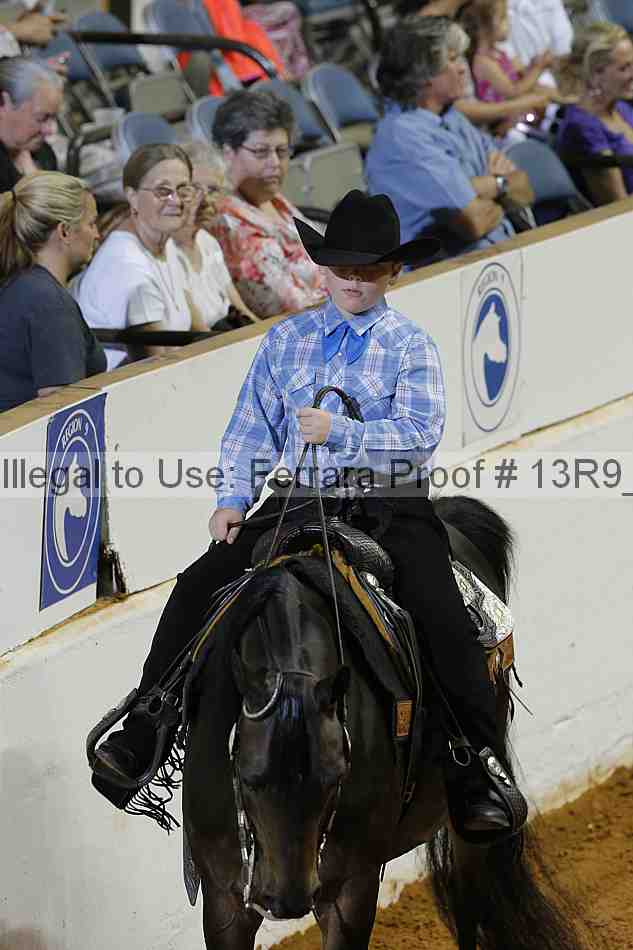 Proof Number 13r9_4031