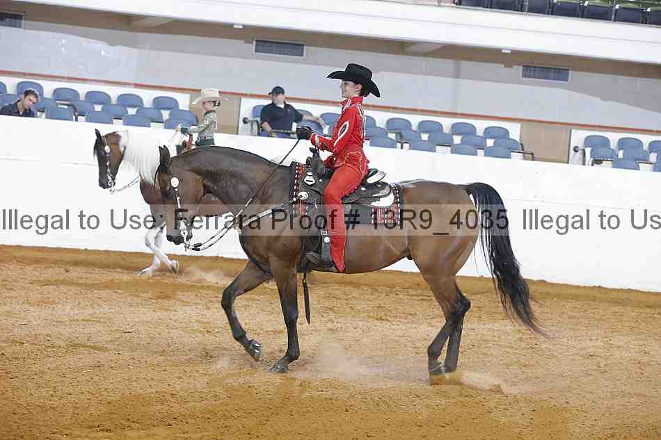 Proof Number 13r9_4035