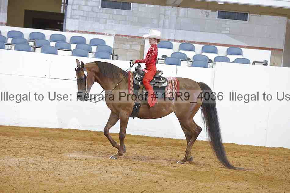 Proof Number 13r9_4036