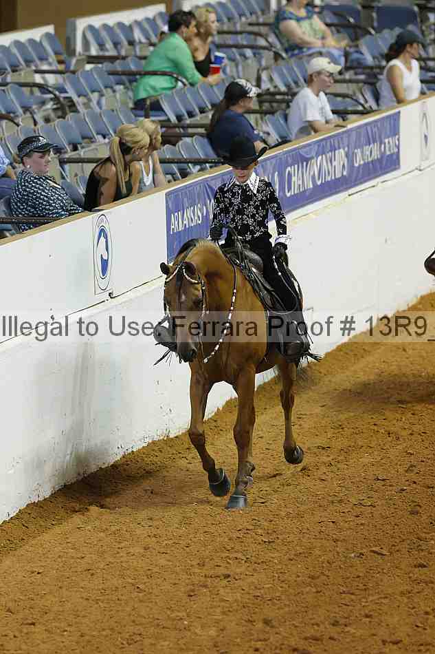 Proof Number 13r9_4039