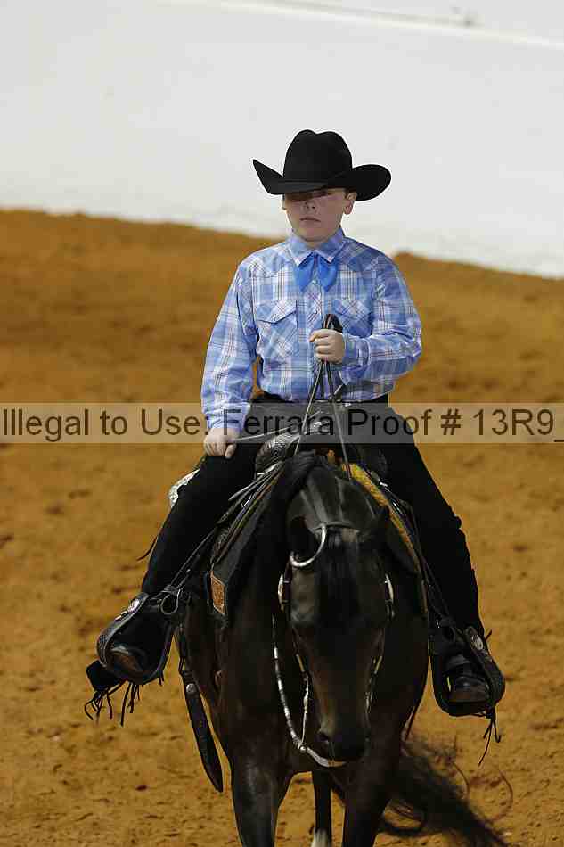 Proof Number 13r9_4046