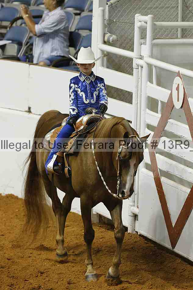 Proof Number 13r9_4048