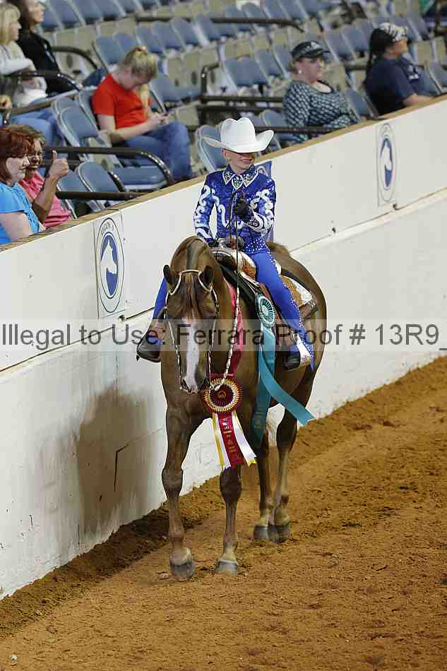 Proof Number 13r9_4060