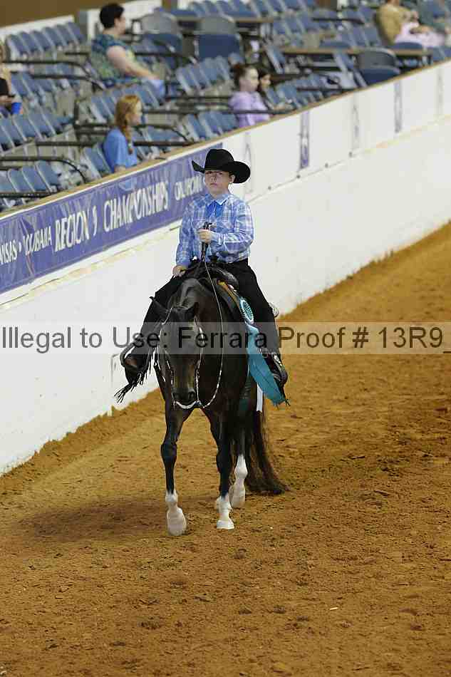 Proof Number 13r9_4072