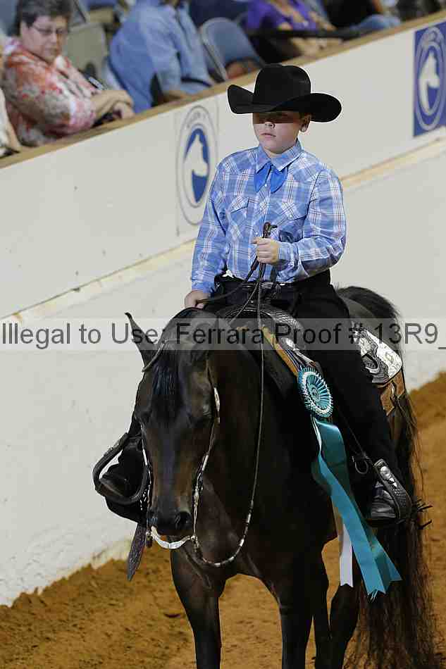 Proof Number 13r9_4074