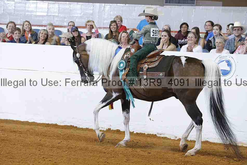 Proof Number 13r9_4091