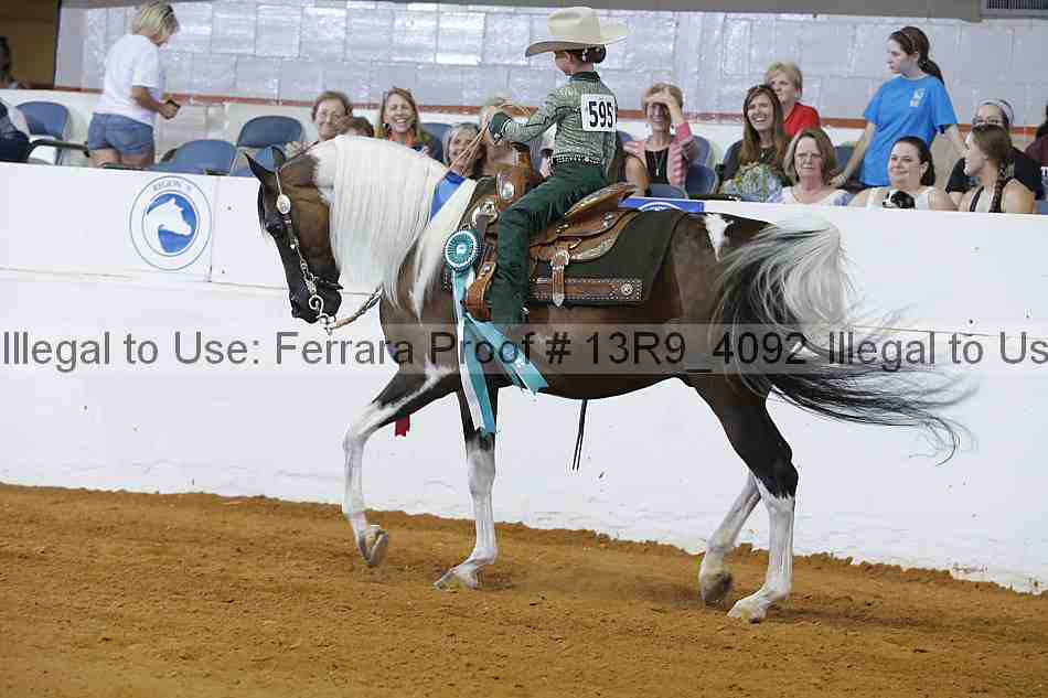 Proof Number 13r9_4092