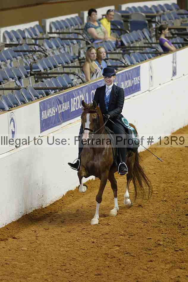 Proof Number 13r9_4133