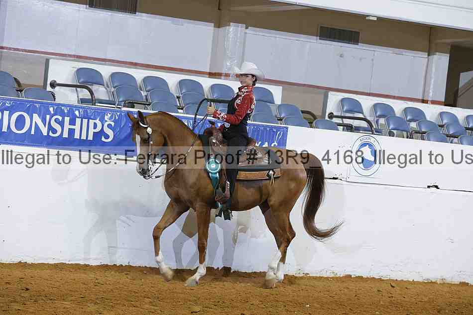 Proof Number 13r9_4168
