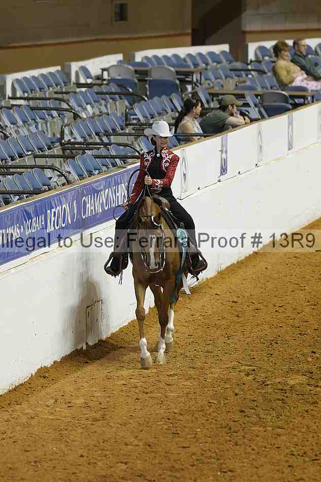 Proof Number 13r9_4169