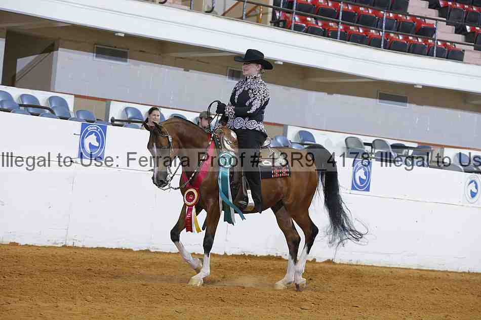 Proof Number 13r9_4178