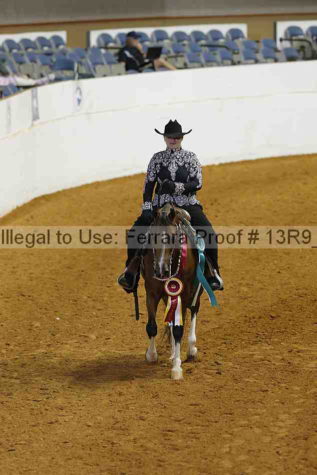 Proof Number 13r9_4181