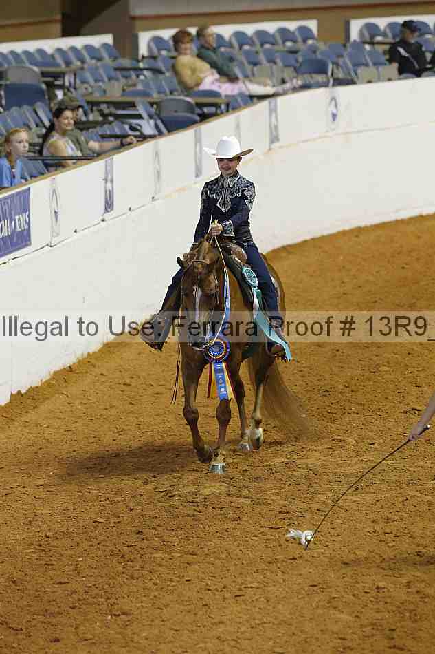 Proof Number 13r9_4185