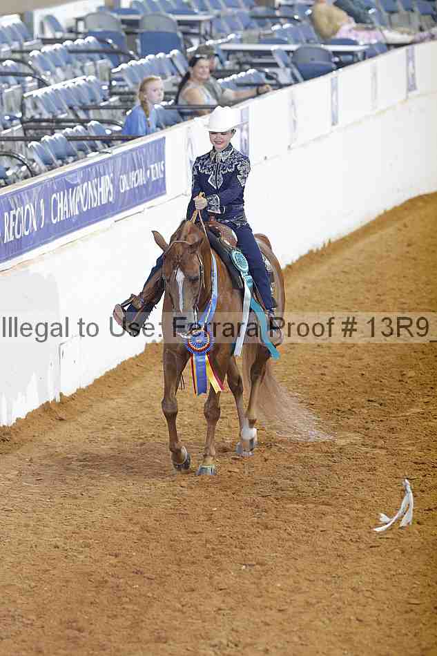 Proof Number 13r9_4188