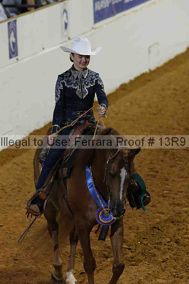 Proof Number 13r9_4190
