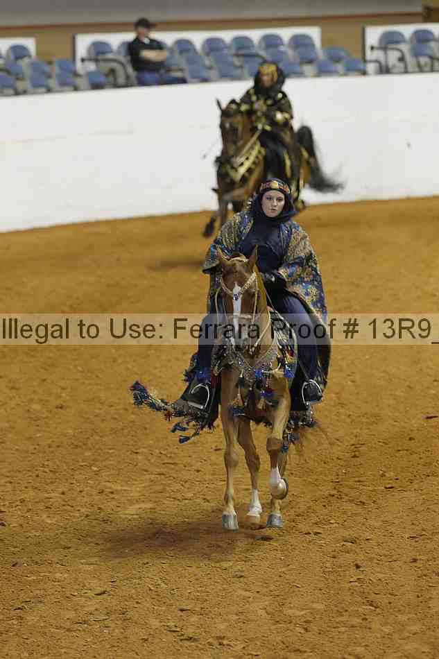 Proof Number 13r9_4225