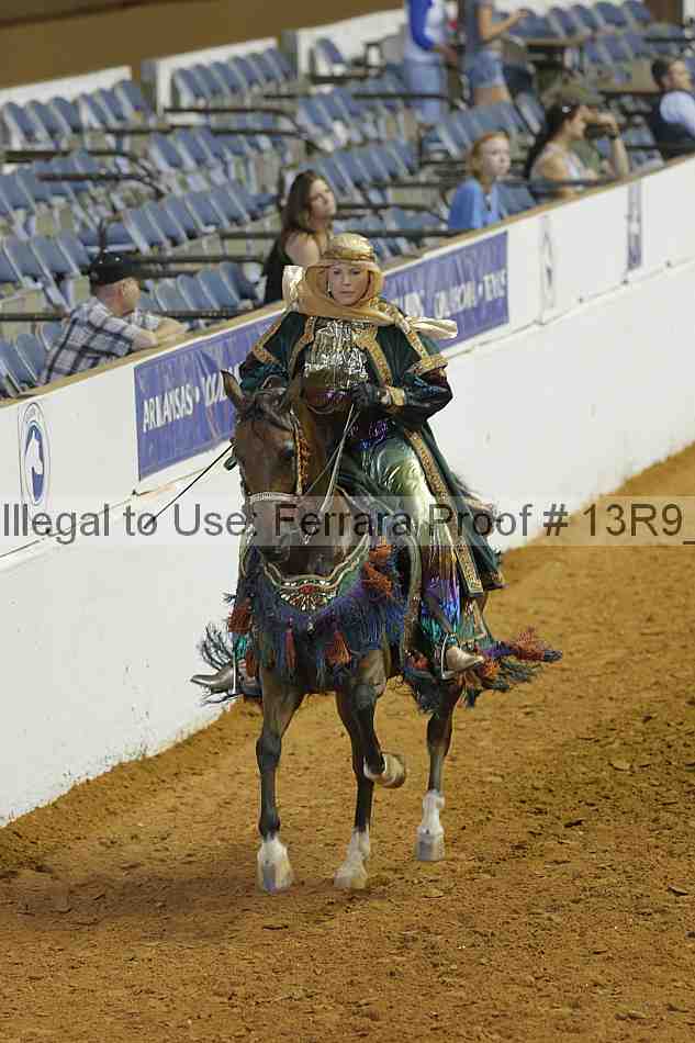 Proof Number 13r9_4238