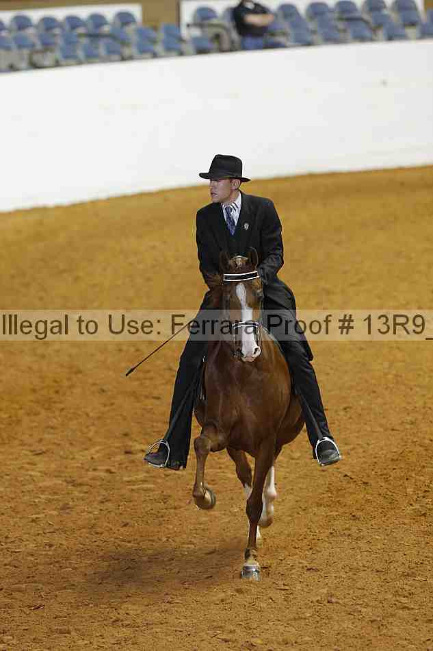 Proof Number 13r9_4325