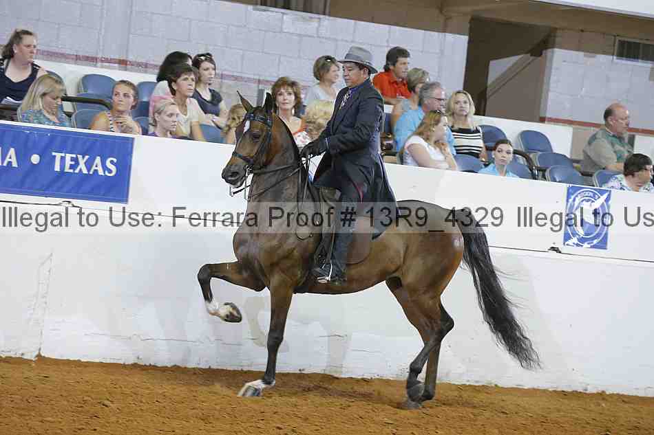 Proof Number 13r9_4329