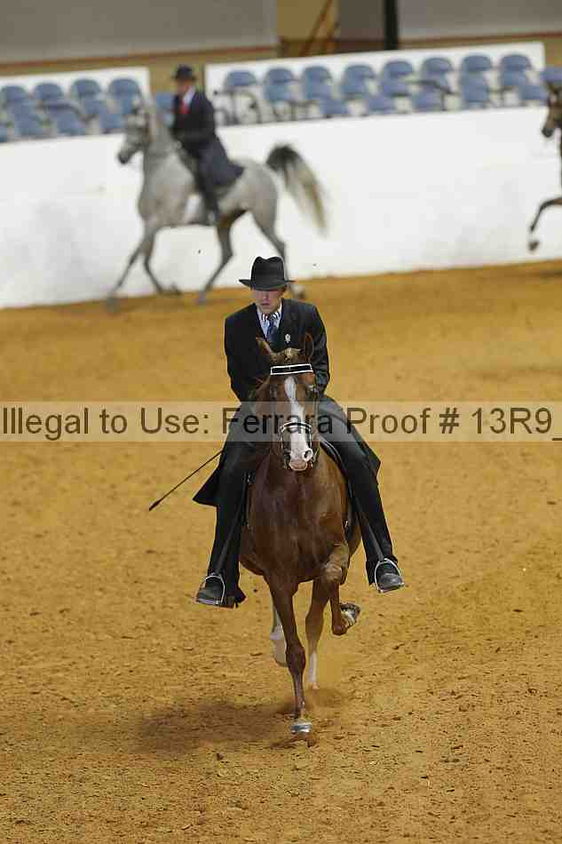 Proof Number 13r9_4337