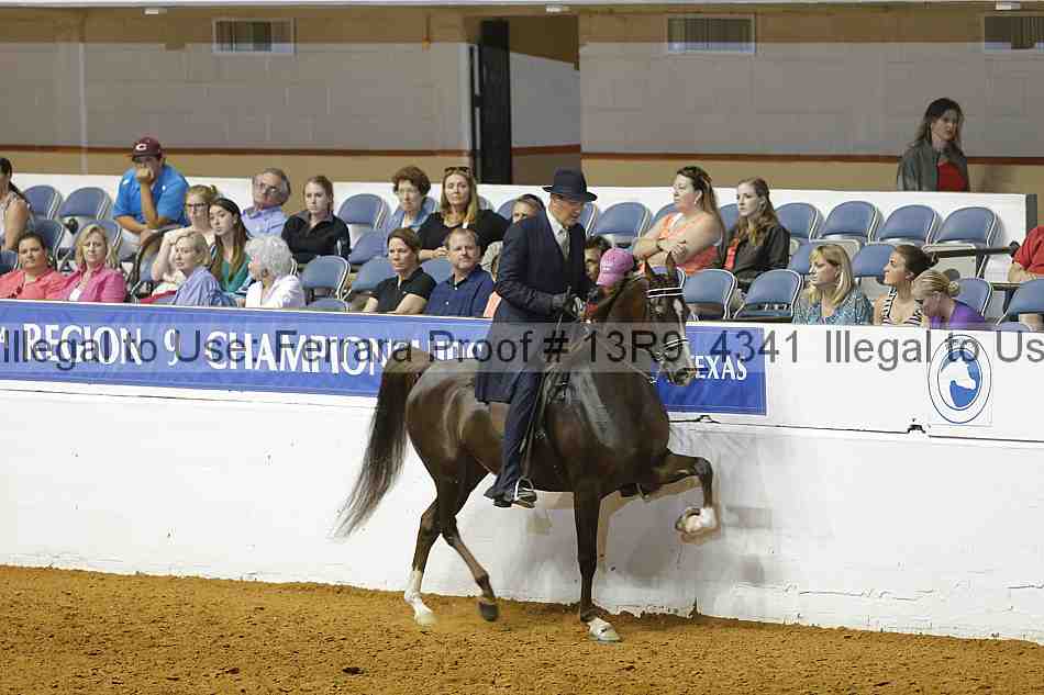 Proof Number 13r9_4341