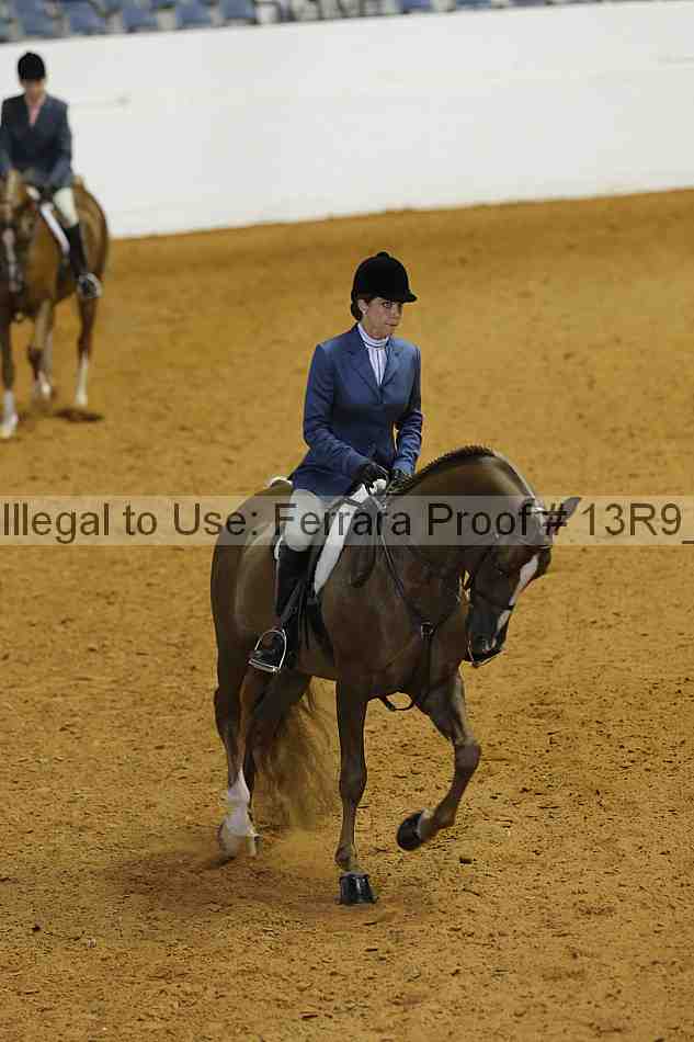 Proof Number 13r9_4378