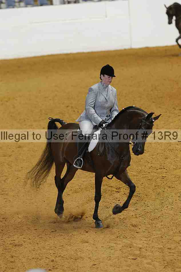 Proof Number 13r9_4400