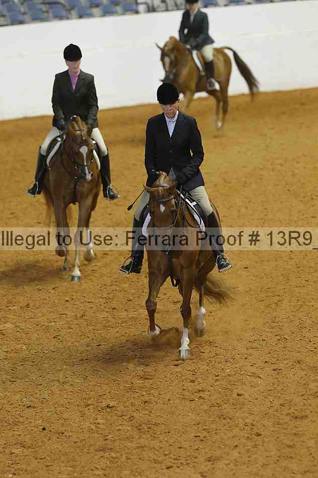 Proof Number 13r9_4404