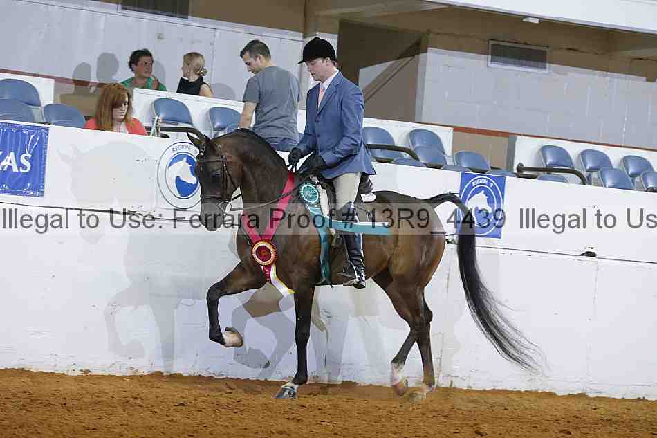 Proof Number 13r9_4439