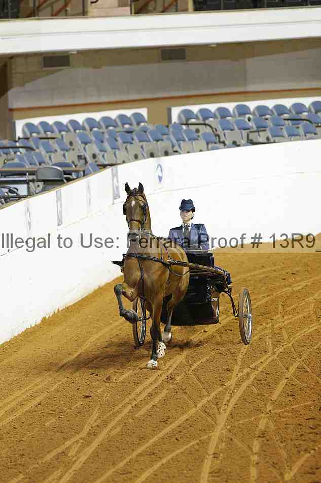 Proof Number 13r9_4476