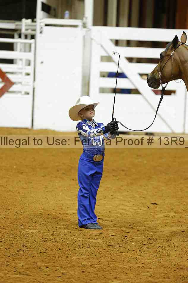 Proof Number 13r9_4543